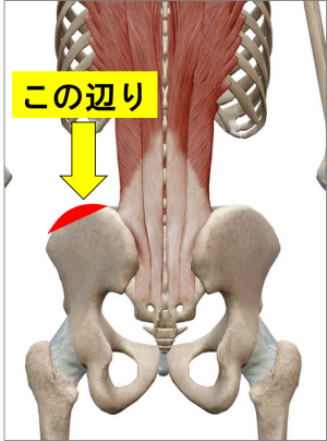 腸骨稜 ベルト 止まらない コレクション