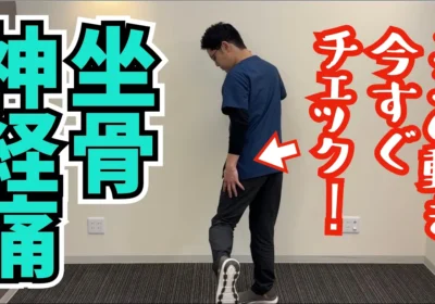 坐骨神経痛の原因は股関節にあった！自分でできるチェック方法と改善ストレッチを徹底解説