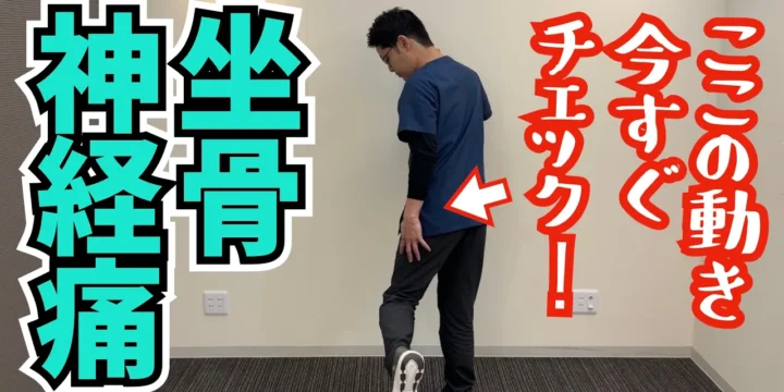 坐骨神経痛の原因は股関節にあった！自分でできるチェック方法と改善ストレッチを徹底解説