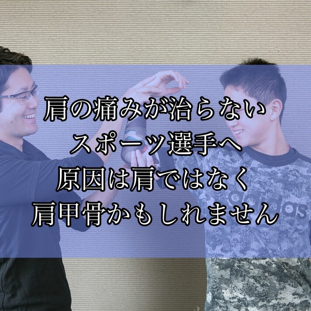 肩の痛みが治らないスポーツ選手へ 原因は肩ではなく肩甲骨かもしれません